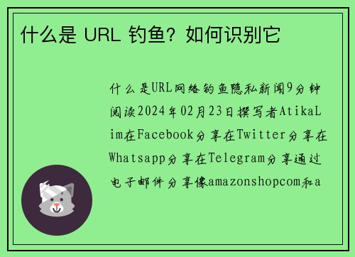 什么是 URL 钓鱼？如何识别它 