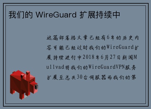 我们的 WireGuard 扩展持续中 