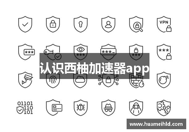 认识西柚加速器app